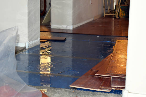 Professional Water Damage Restoration technician working in Midway, AR